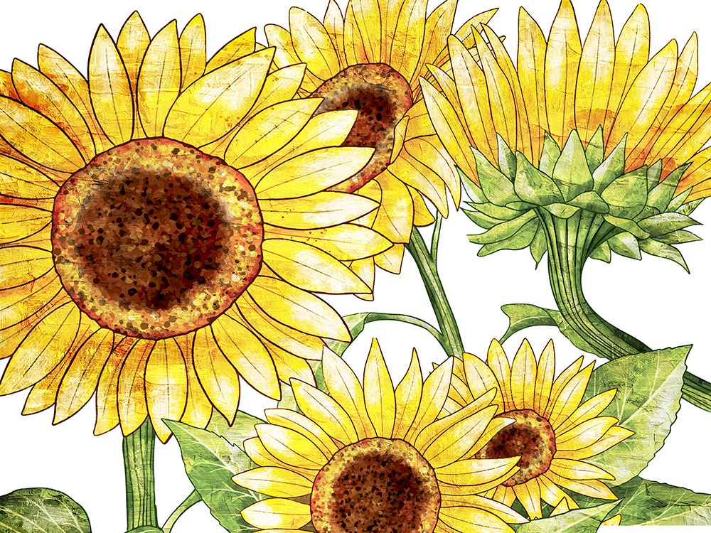 Sunflowers 2 art print by Kimberly Allen for $57.95 CAD