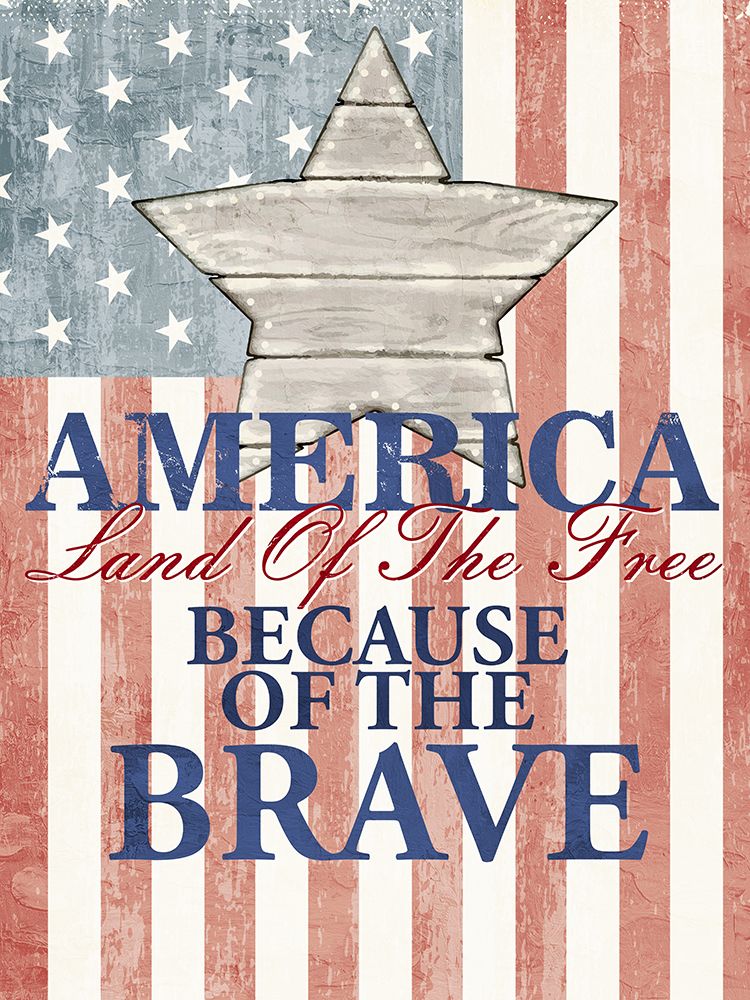 America Land Of The Free art print by Kimberly Allen for $57.95 CAD