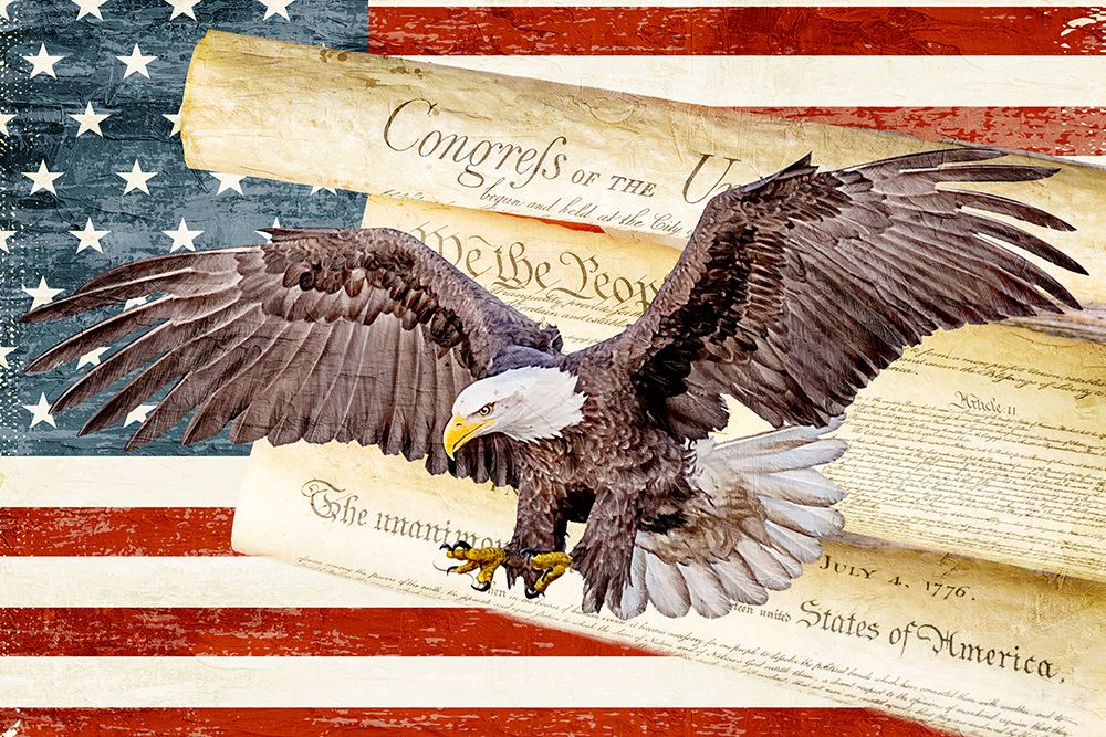 We The People Eagle art print by Kimberly Allen for $57.95 CAD