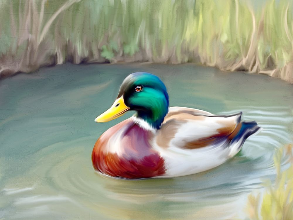Peaceful Swim art print by Kimberly Allen for $57.95 CAD