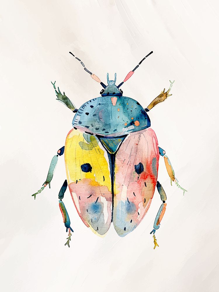 Colorful Beetle 2 art print by Kimberly Allen for $57.95 CAD