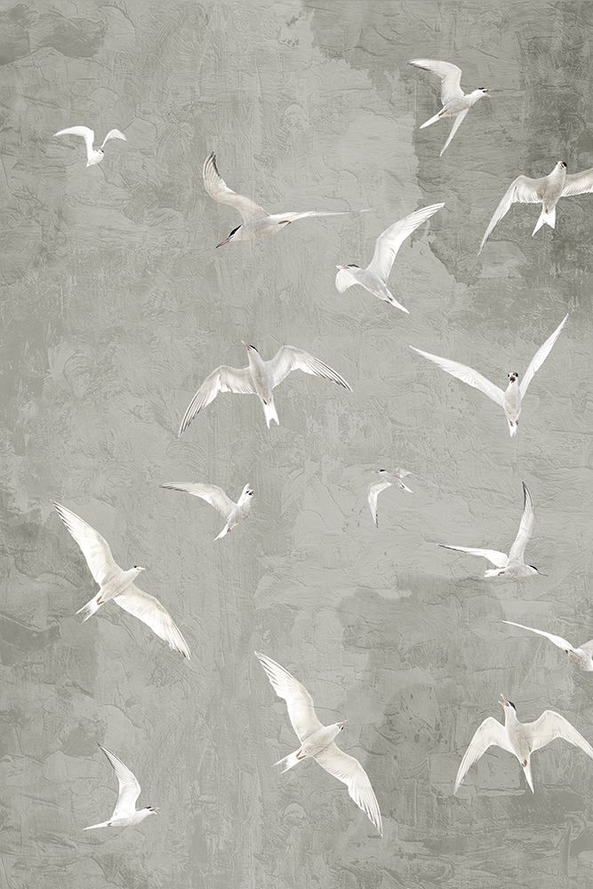 Flight art print by Kimberly Allen for $57.95 CAD