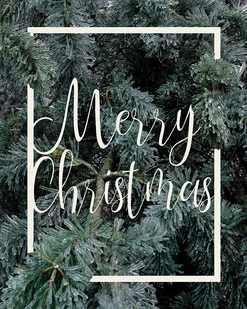 Christmas Foliage art print by Kimberly Allen for $57.95 CAD