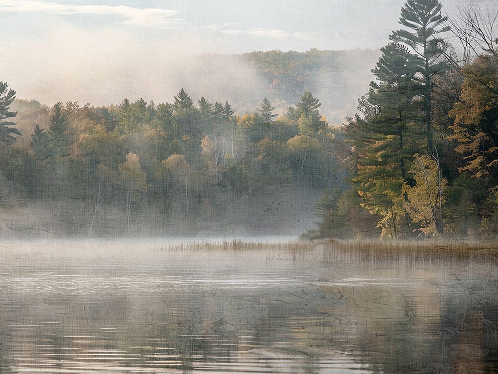 Morning View art print by Kimberly Allen for $57.95 CAD