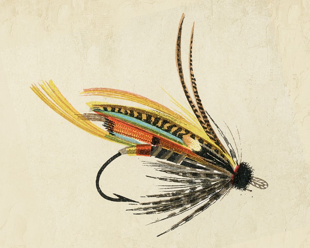 Fly Fish 3 art print by Kimberly Allen for $57.95 CAD