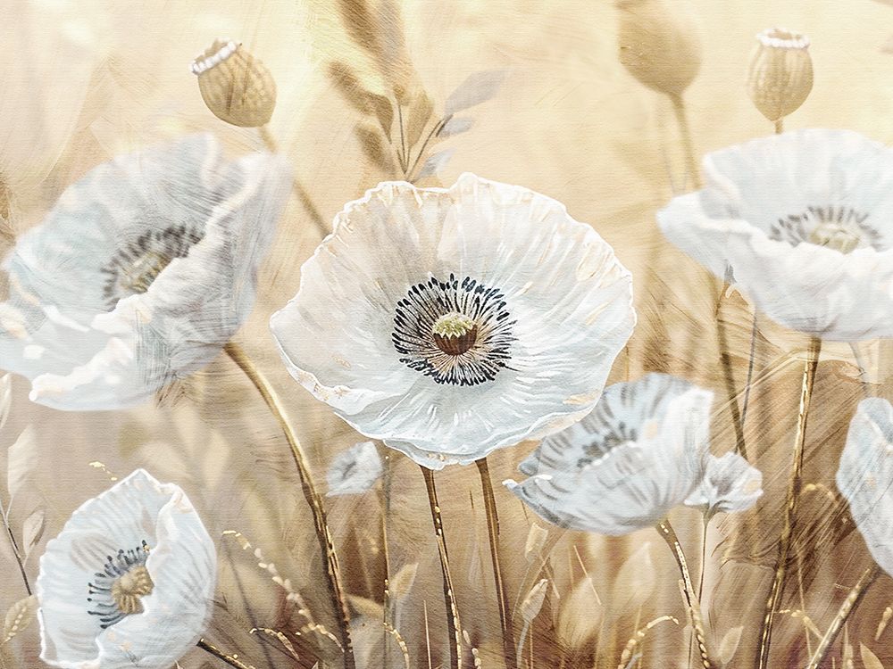 White Poppies art print by Kimberly Allen for $57.95 CAD