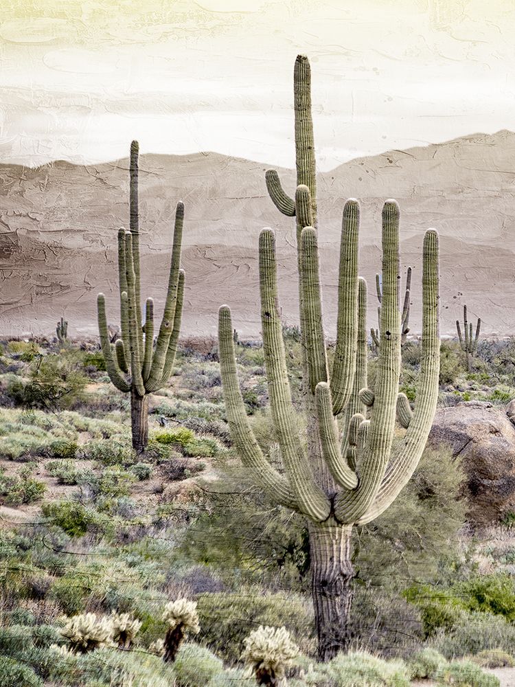 In The Valley 1 art print by Kimberly Allen for $57.95 CAD