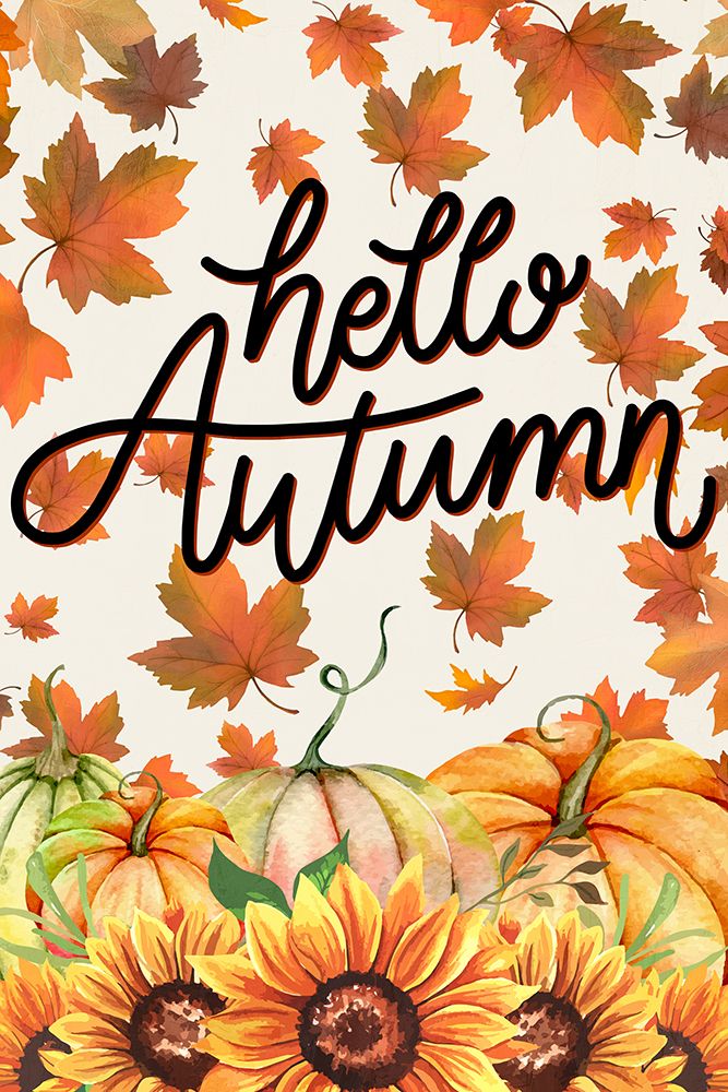 Hello Autumn Pumpkins art print by Kimberly Allen for $57.95 CAD