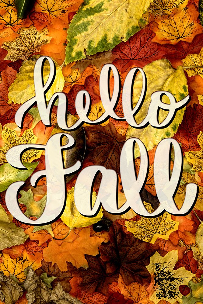 Hello Fall Leaves art print by Kimberly Allen for $57.95 CAD