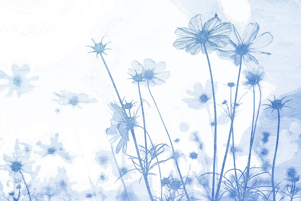Wildflowers art print by Kimberly Allen for $57.95 CAD
