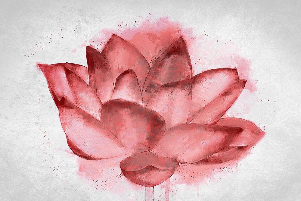 Lotus Blossom art print by Kimberly Allen for $57.95 CAD