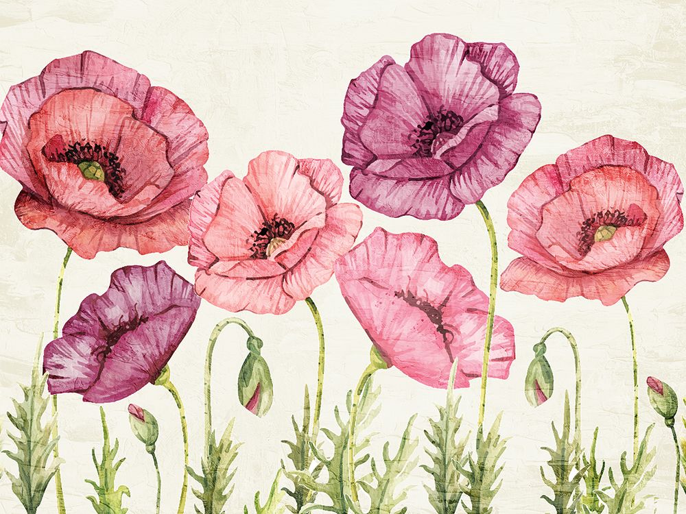 Poppy Days art print by Kimberly Allen for $57.95 CAD