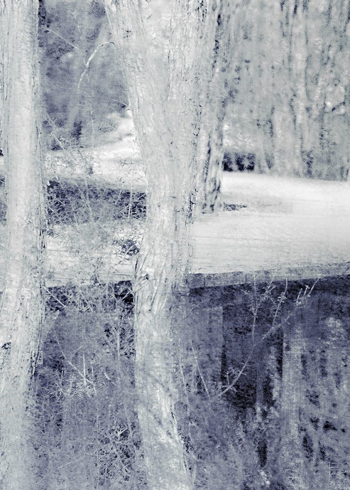 Through the Trees A art print by Kimberly Allen for $57.95 CAD