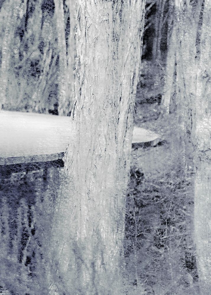 Through the Trees B art print by Kimberly Allen for $57.95 CAD