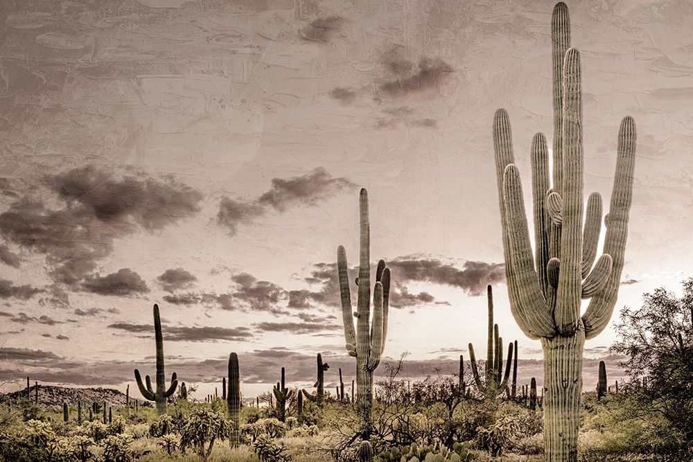 Desert Sky art print by Kimberly Allen for $57.95 CAD