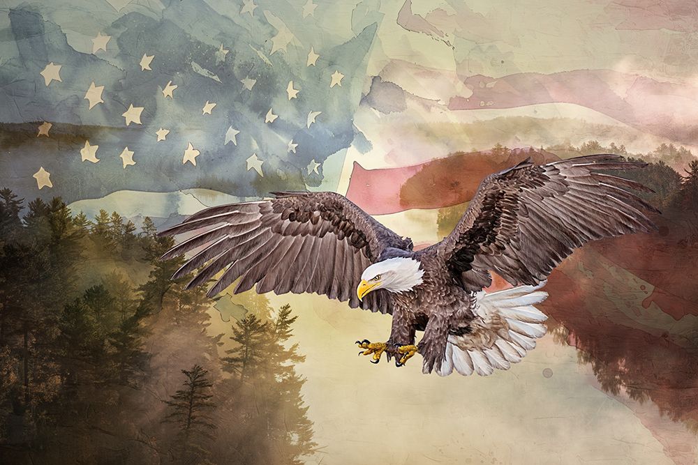 USA Eagle Flight art print by Kimberly Allen for $57.95 CAD