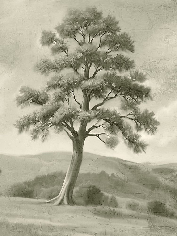 Clear Day art print by Kimberly Allen for $57.95 CAD