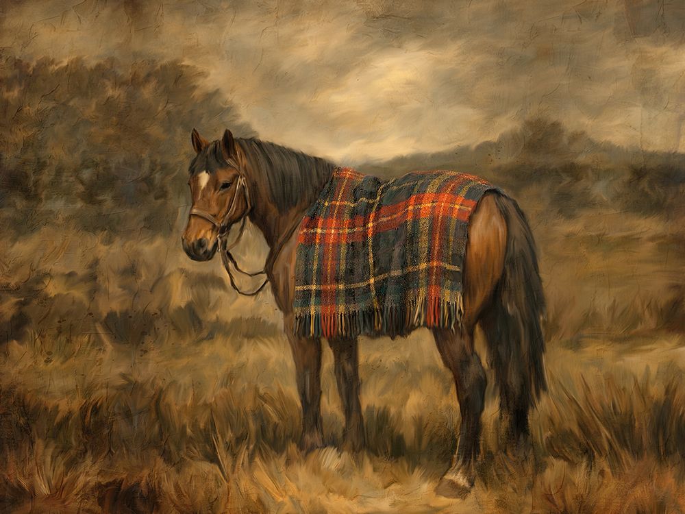 Warmed art print by Kimberly Allen for $57.95 CAD