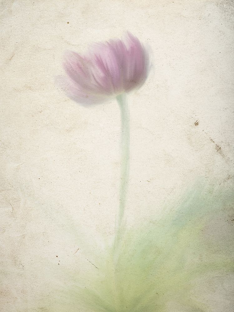 Blurred Floral 1 art print by Kimberly Allen for $57.95 CAD