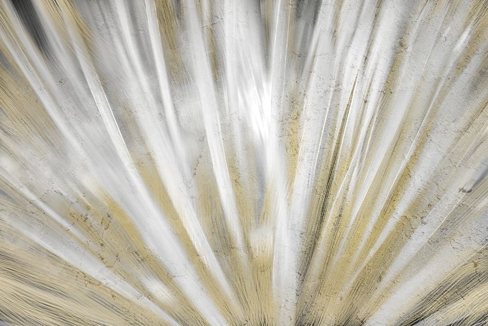 Burst of Day art print by Kimberly Allen for $57.95 CAD