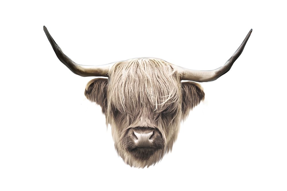 Highland White art print by Kimberly Allen for $57.95 CAD