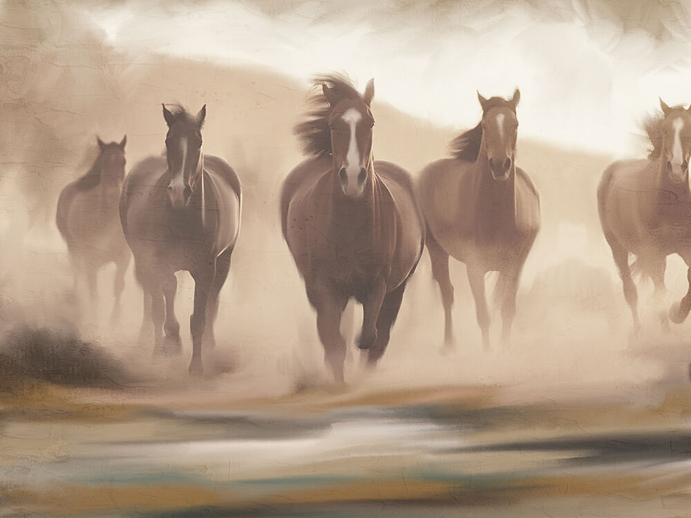 Distance art print by Kimberly Allen for $57.95 CAD