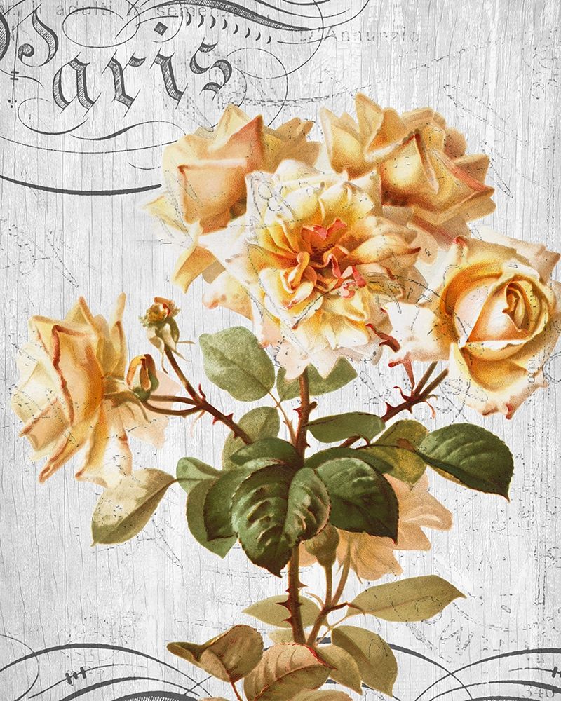 Country Floral 1 art print by Kimberly Allen for $57.95 CAD