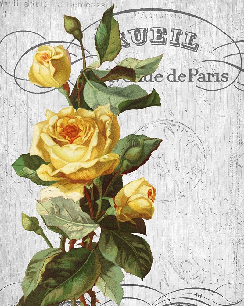 Country Floral 2 art print by Kimberly Allen for $57.95 CAD