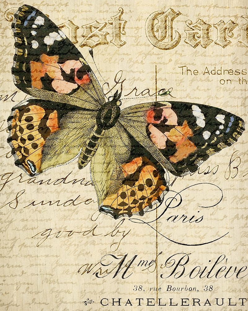 Postcard Butterfly 2 art print by Kimberly Allen for $57.95 CAD