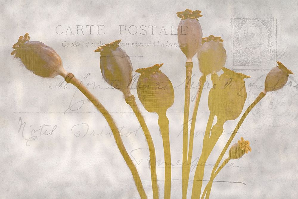 Poppy Buds art print by Kimberly Allen for $57.95 CAD