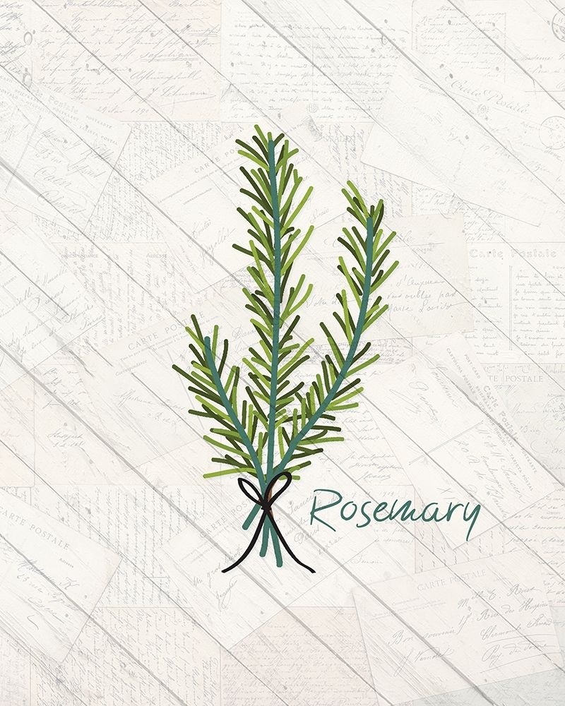 Fresh Herbs 1 art print by Kimberly Allen for $57.95 CAD