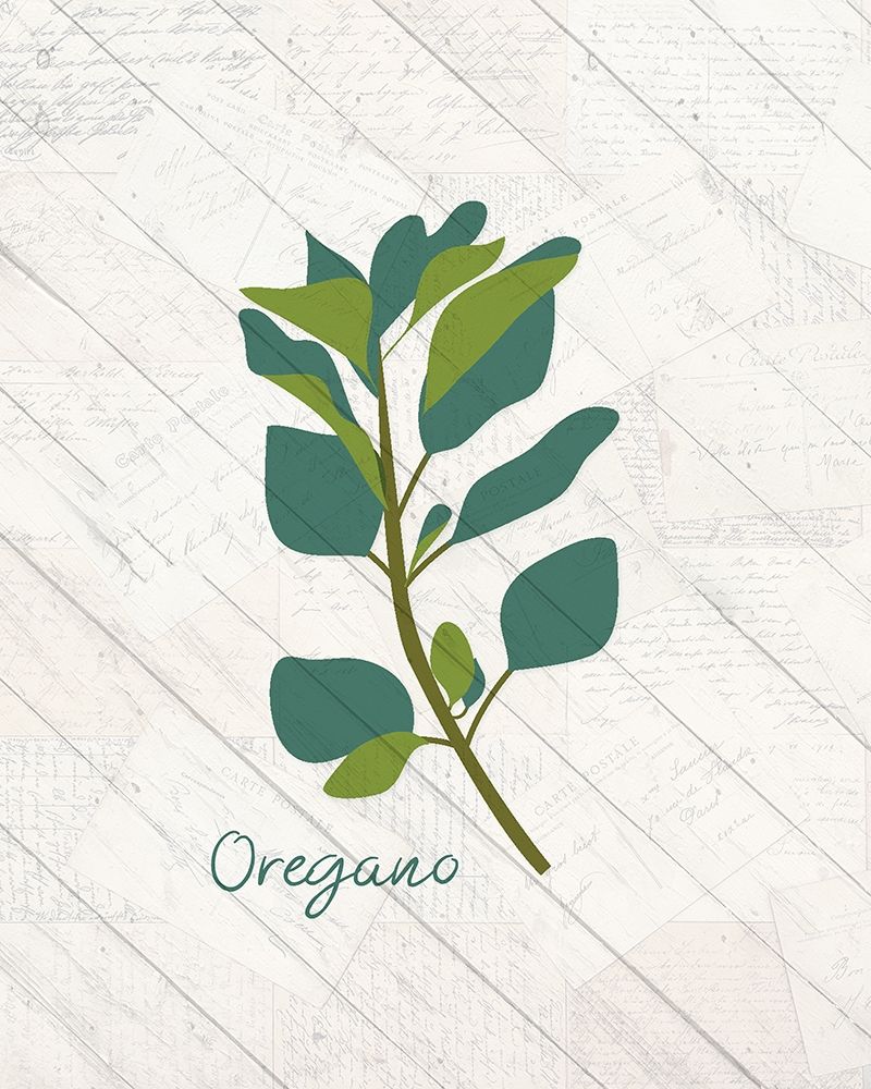 Fresh Herbs 2 art print by Kimberly Allen for $57.95 CAD