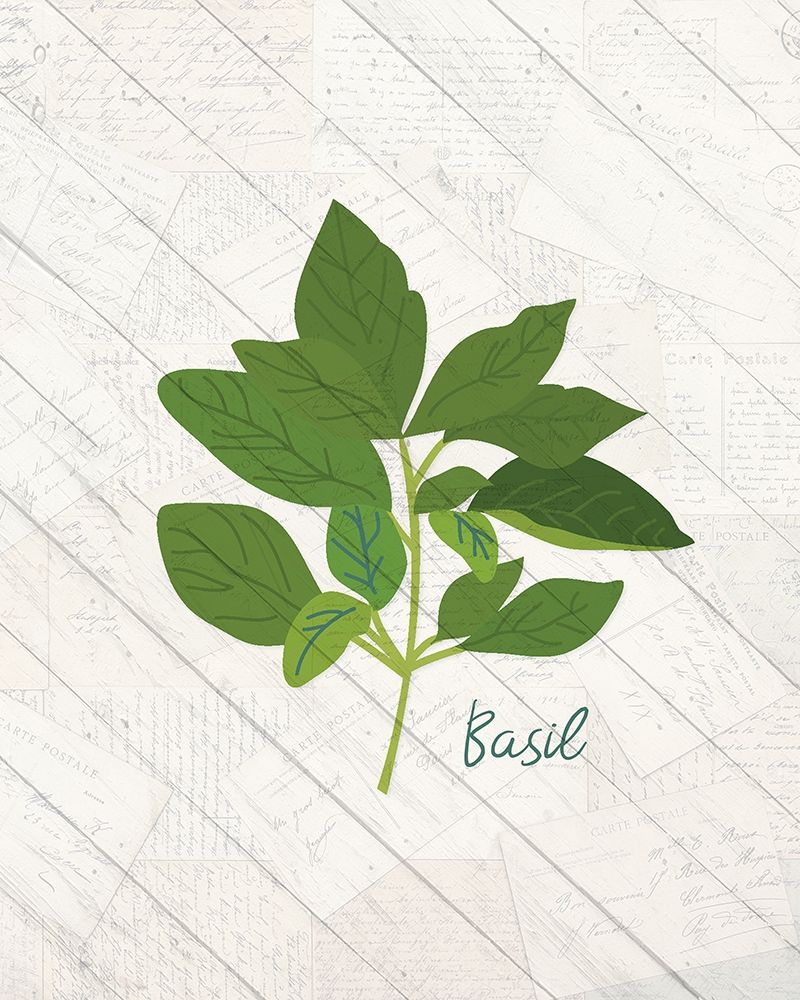 Fresh Herbs 3 art print by Kimberly Allen for $57.95 CAD