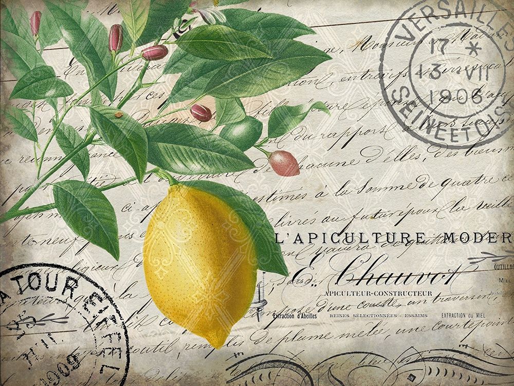 Vintage Lemon art print by Kimberly Allen for $57.95 CAD
