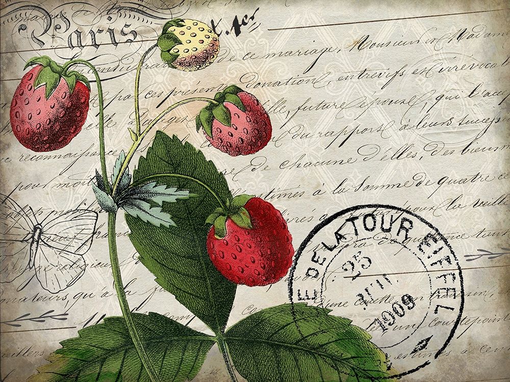 Vintage Strawberry art print by Kimberly Allen for $57.95 CAD