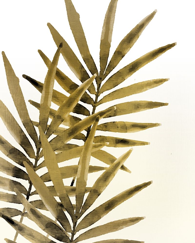 Ferns 1 art print by Kimberly Allen for $57.95 CAD