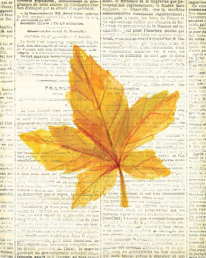 In the Fall 1 art print by Kimberly Allen for $57.95 CAD