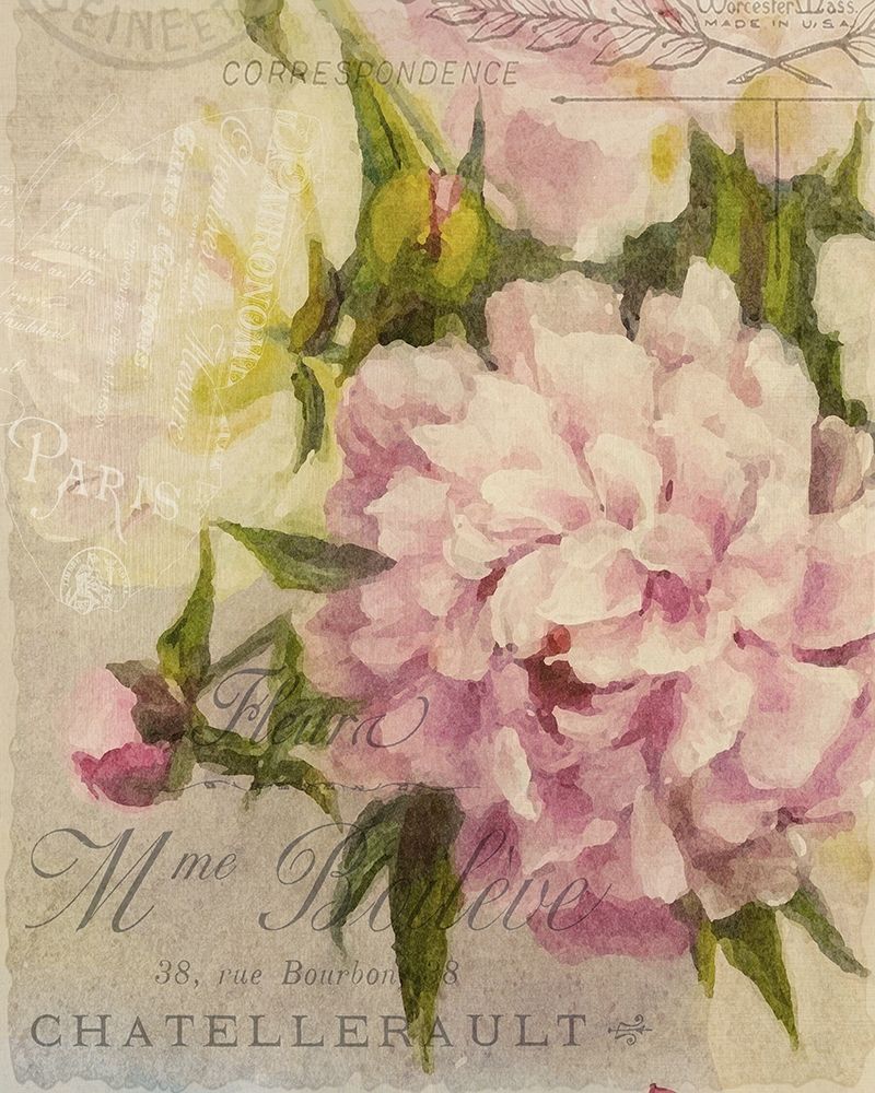 Summer Blooming Series A art print by Kimberly Allen for $57.95 CAD