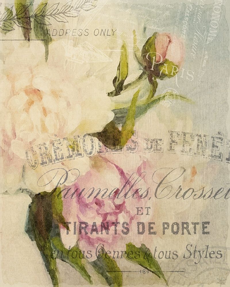 Summer Blooming Series B art print by Kimberly Allen for $57.95 CAD