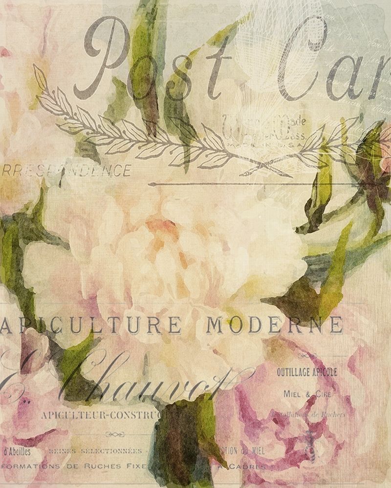 Summer Blooming Series C art print by Kimberly Allen for $57.95 CAD