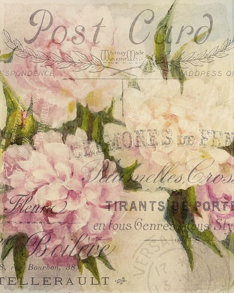 Summer Blooming Series D art print by Kimberly Allen for $57.95 CAD