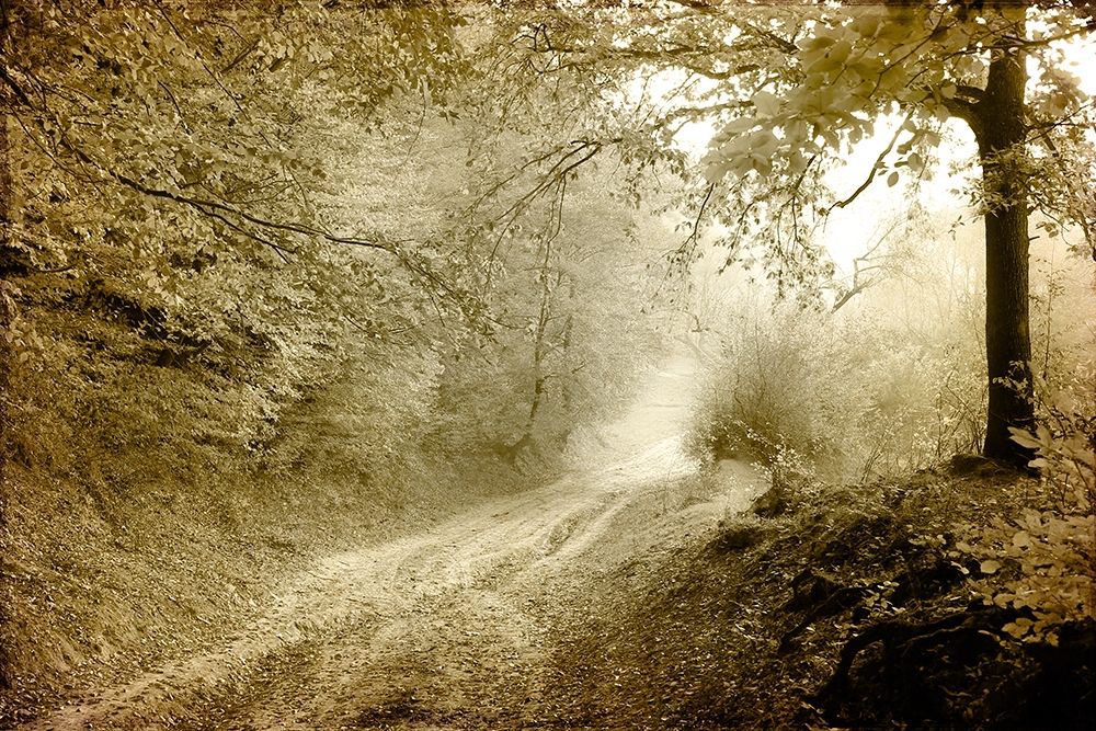 Autumn walk art print by Kimberly Allen for $57.95 CAD