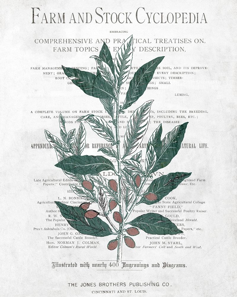 Botanical 1 art print by Kimberly Allen for $57.95 CAD