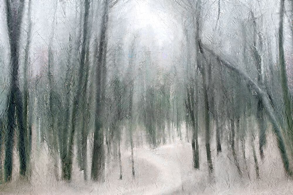 Shrouded Forest 1 art print by Kimberly Allen for $57.95 CAD