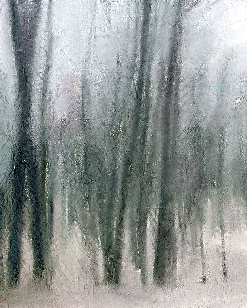 Shrouded Forest 2 art print by Kimberly Allen for $57.95 CAD