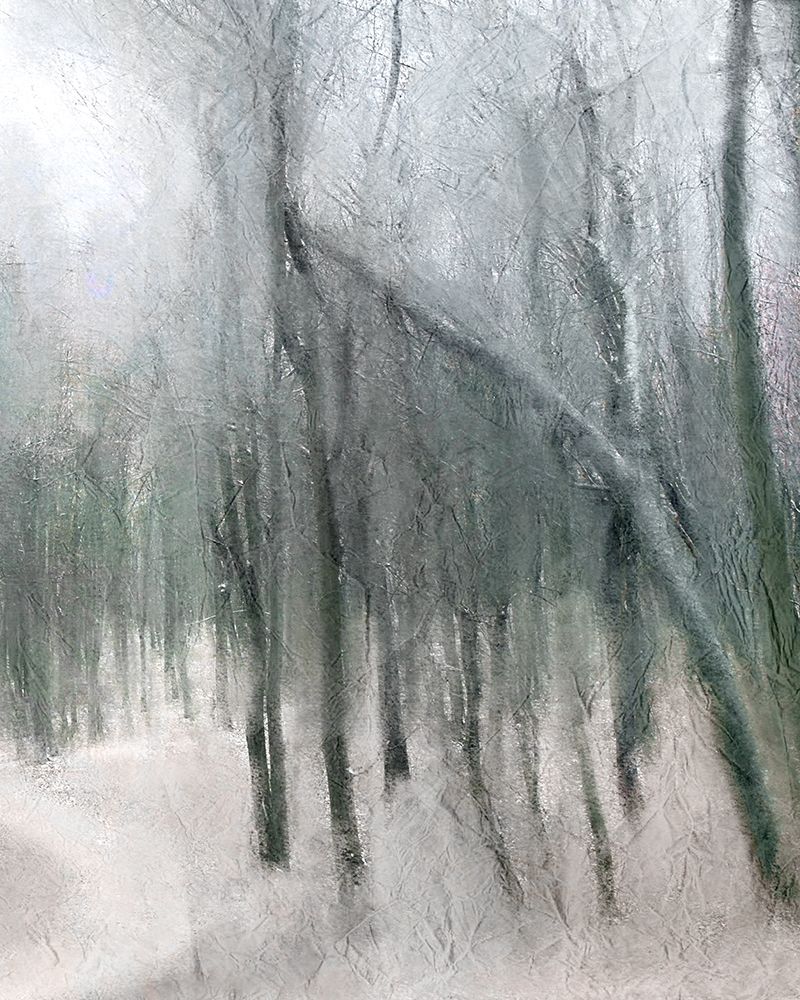 Shrouded Forest 3 art print by Kimberly Allen for $57.95 CAD