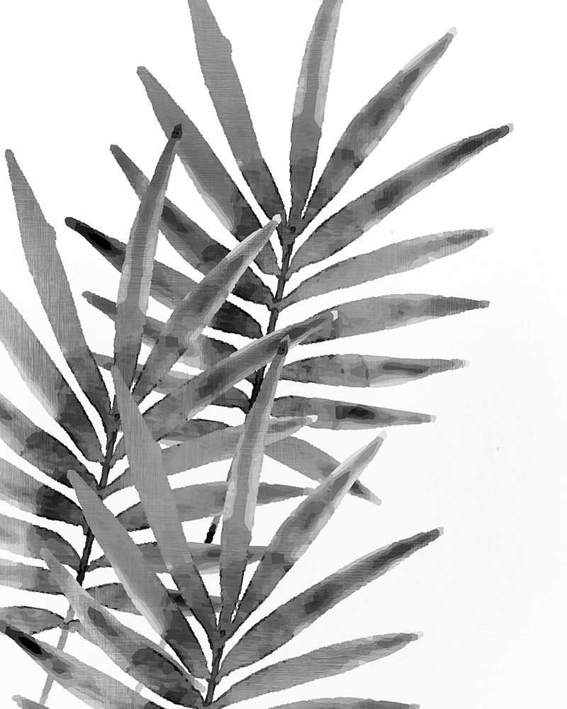 Ferns By Night 1 art print by Kimberly Allen for $57.95 CAD