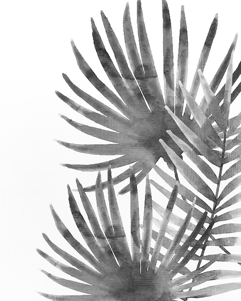 Ferns By Night 2 art print by Kimberly Allen for $57.95 CAD