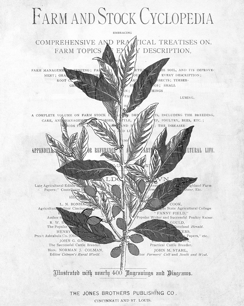 Defused Botanical 1 art print by Kimberly Allen for $57.95 CAD