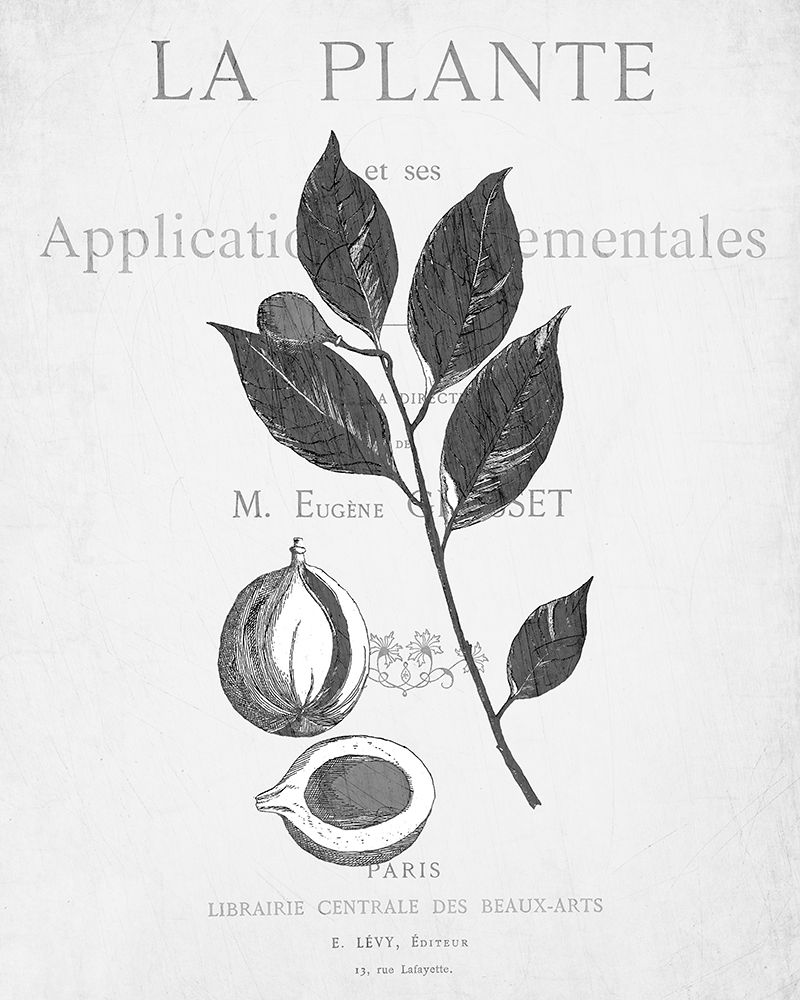 Defused Botanical 3 art print by Kimberly Allen for $57.95 CAD